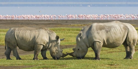 Nakuru